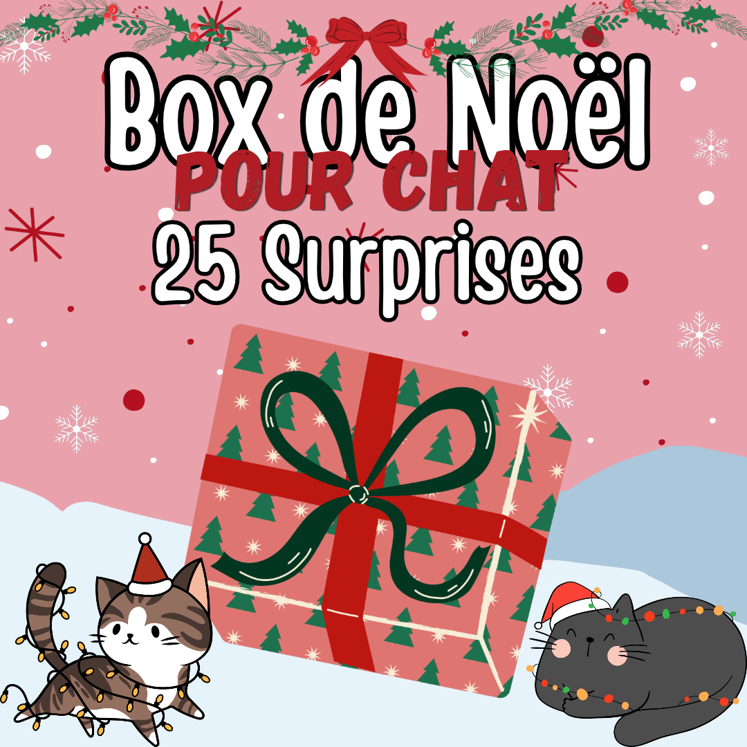 Précommande - Box de Noël Chat