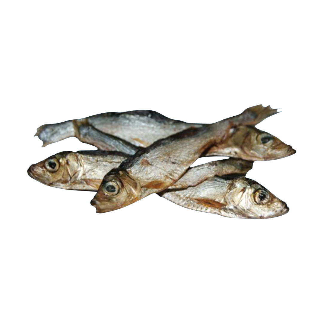 Sprat