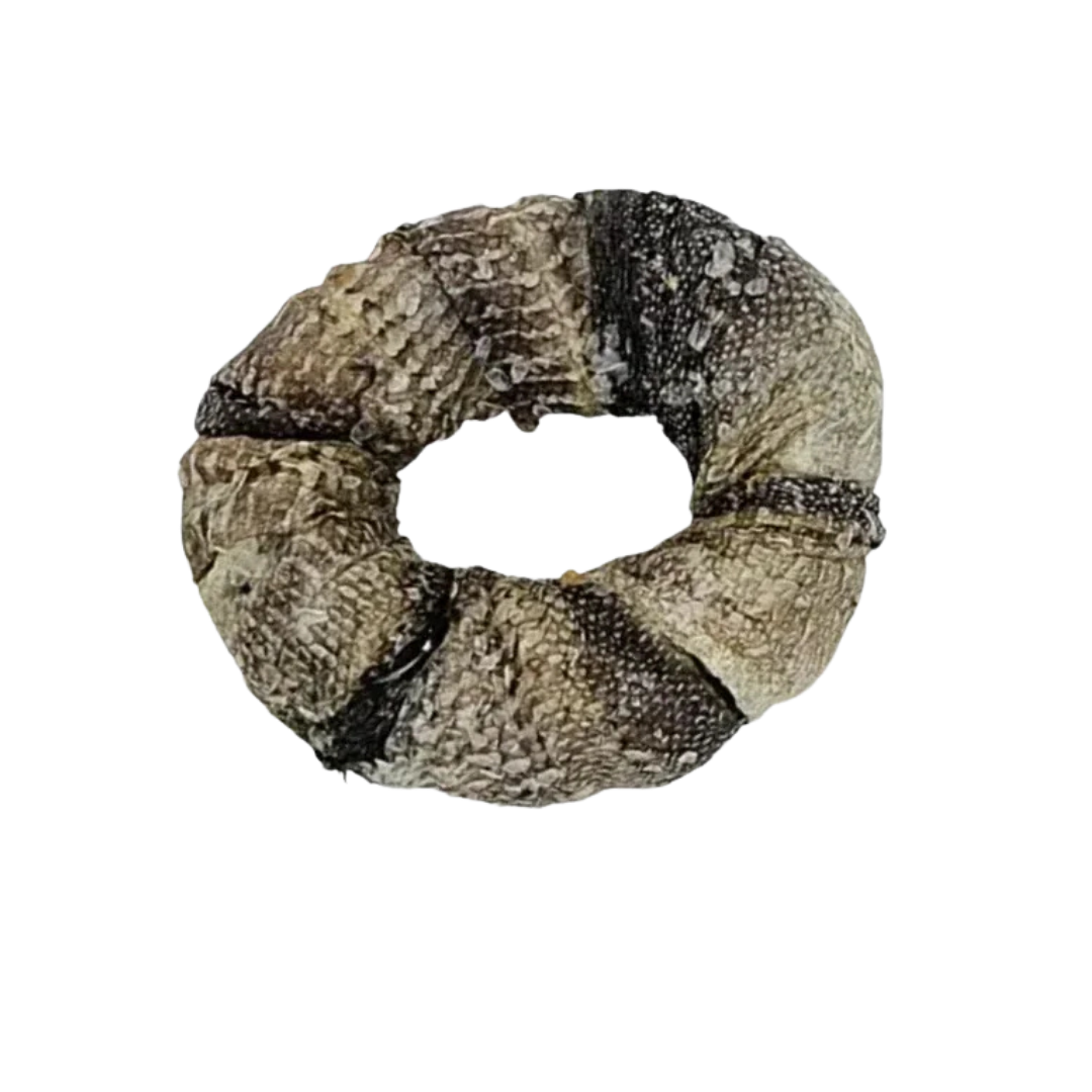Anneau de Morue