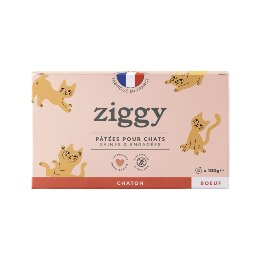 Ziggy - Pâtée Chaton au Boeuf 4x100g