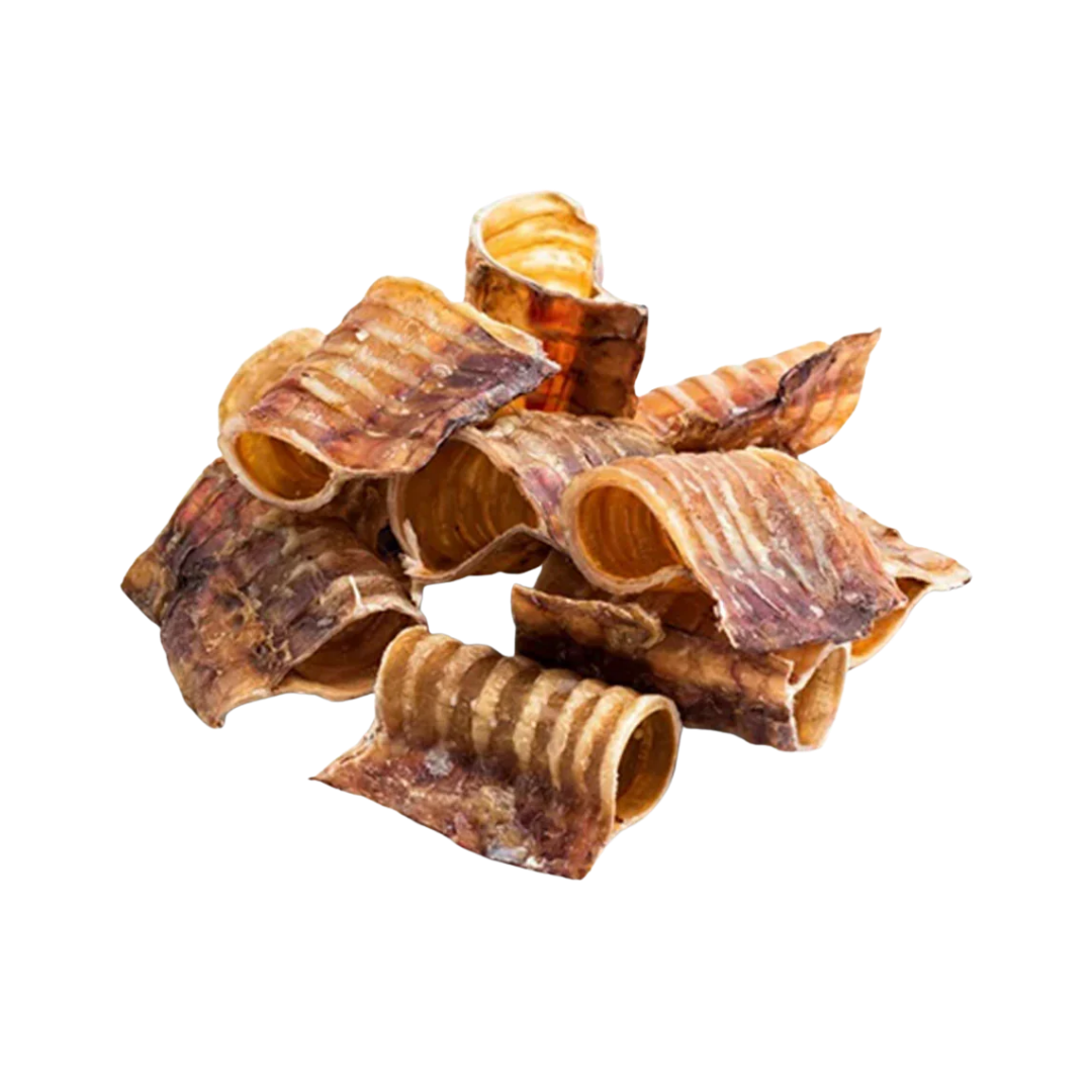 Trachée de Boeuf 5cm