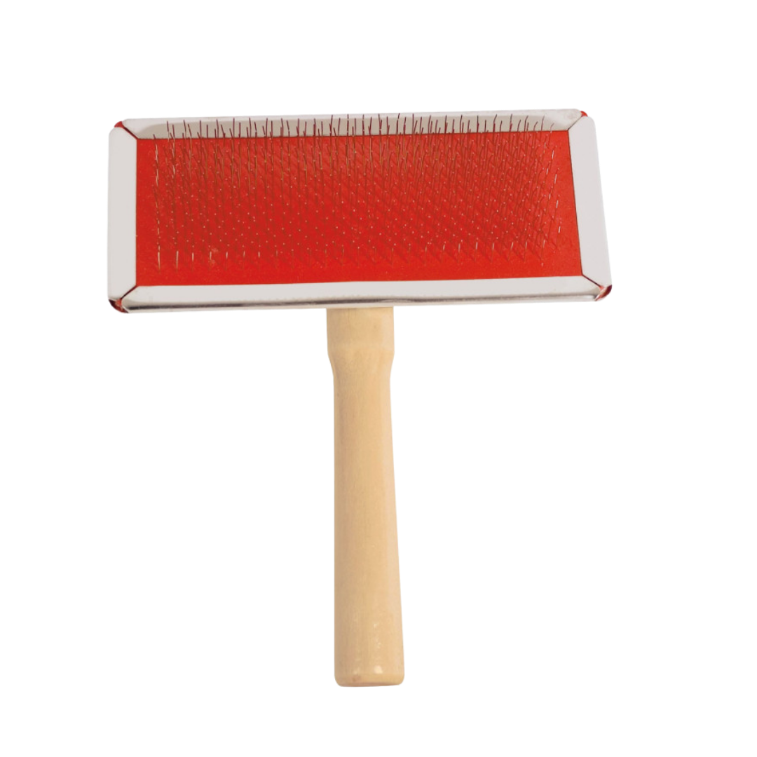 Carde picots souples manche en bois