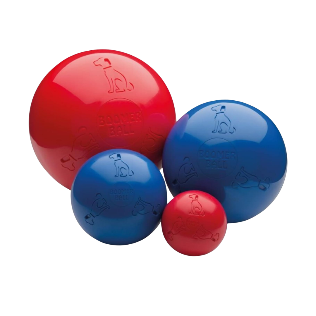 Boomer Ball L,XL