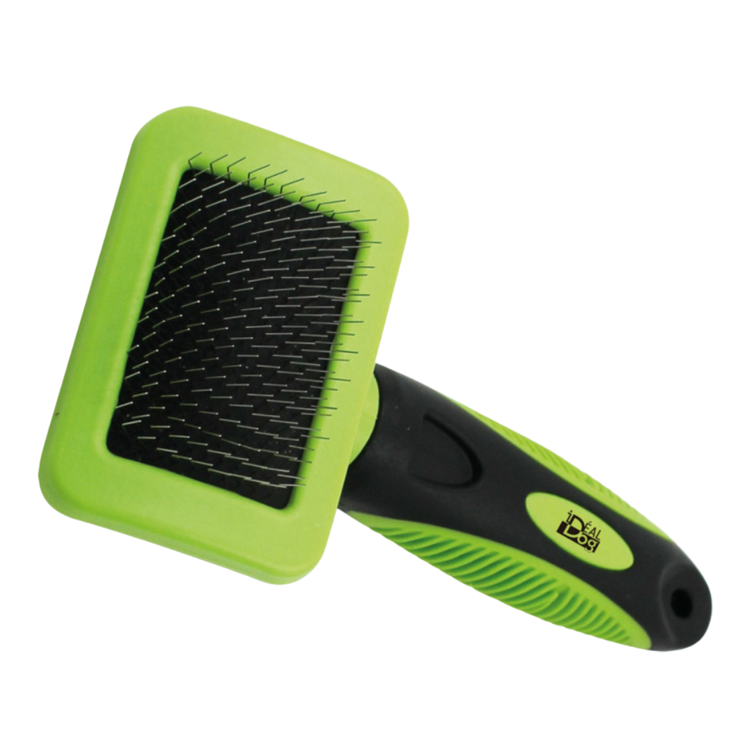 Carde Ergonomique