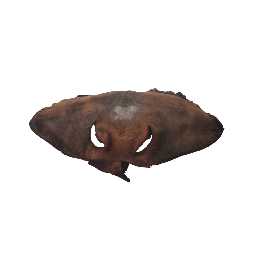 Museau de Bœuf Naturel