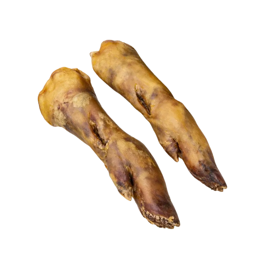 Pied de Porc XL