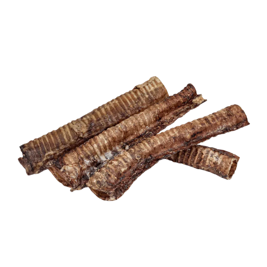 Trachée de Bœuf 30 cm