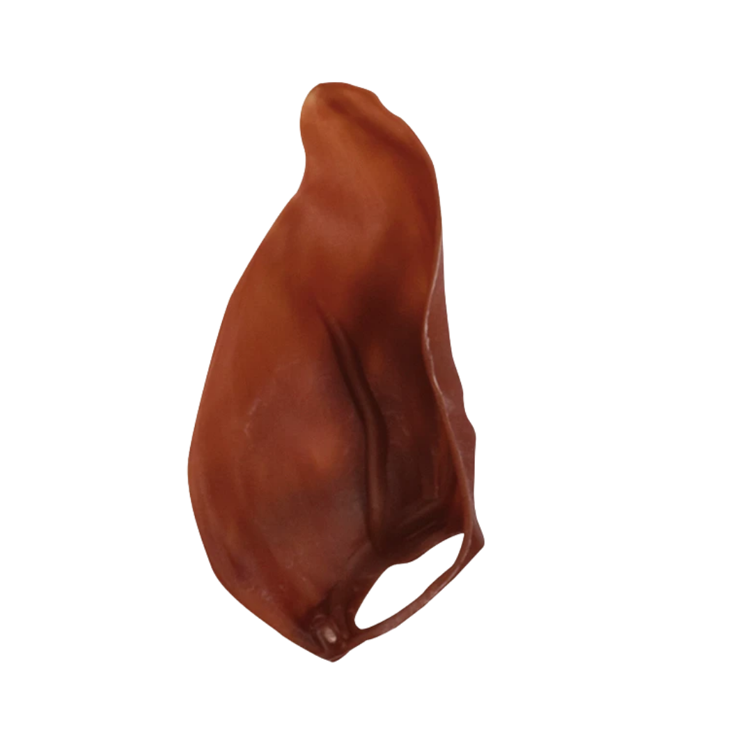 Oreille de porc Végétale