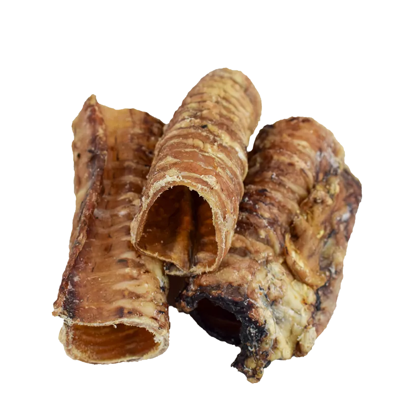 Trachée de Boeuf 15cm