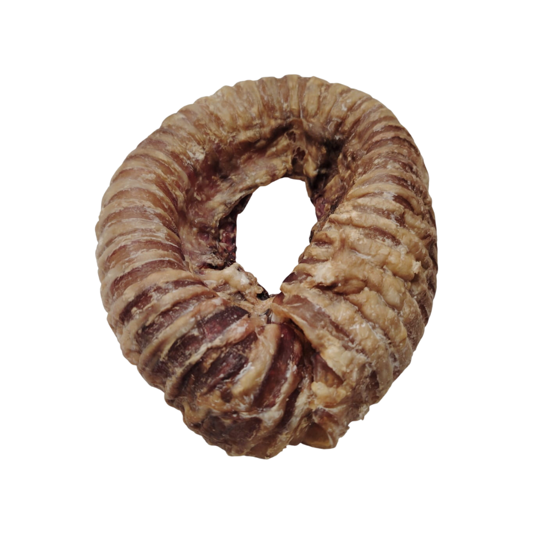 Trachée de Boeuf en Donut