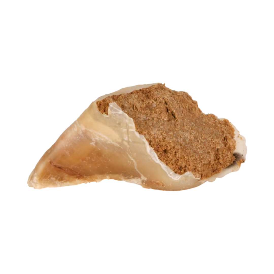 Sabot de Boeuf Fourré