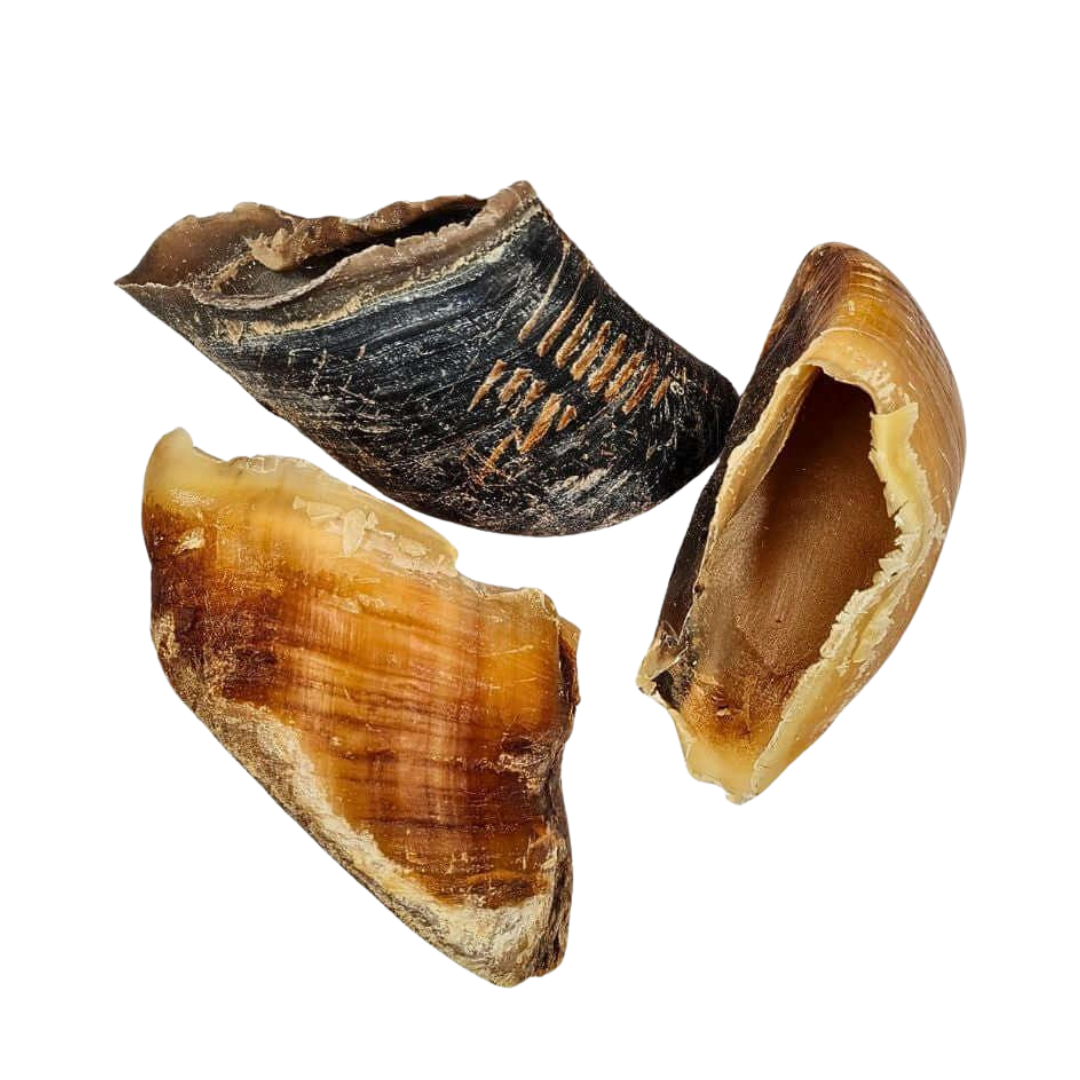 Sabot de Vache