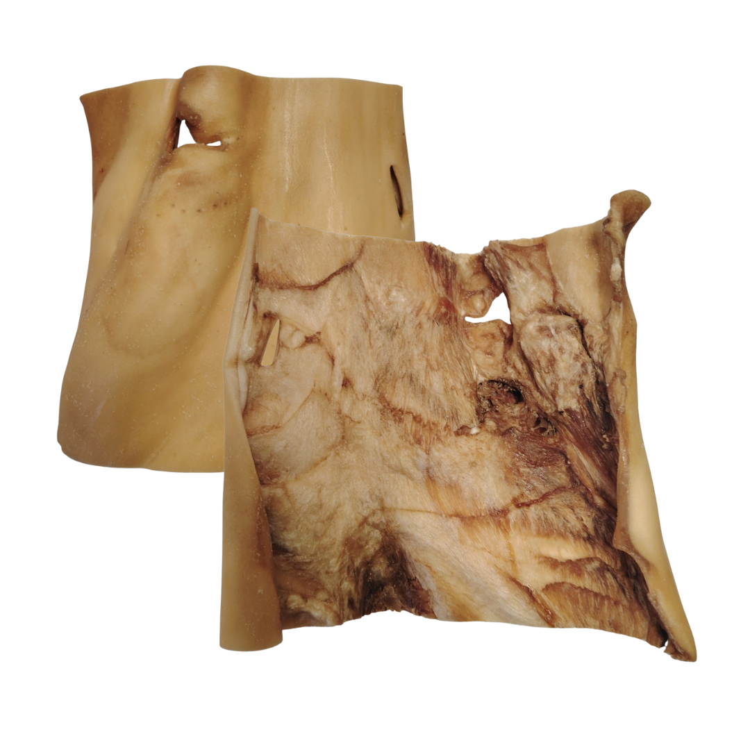 Maxi Plaque de Boeuf Sans Poils 40x40cm