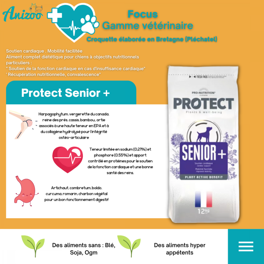 Pro-Nutrition Protect Senior + chien, gamme vétérinaire