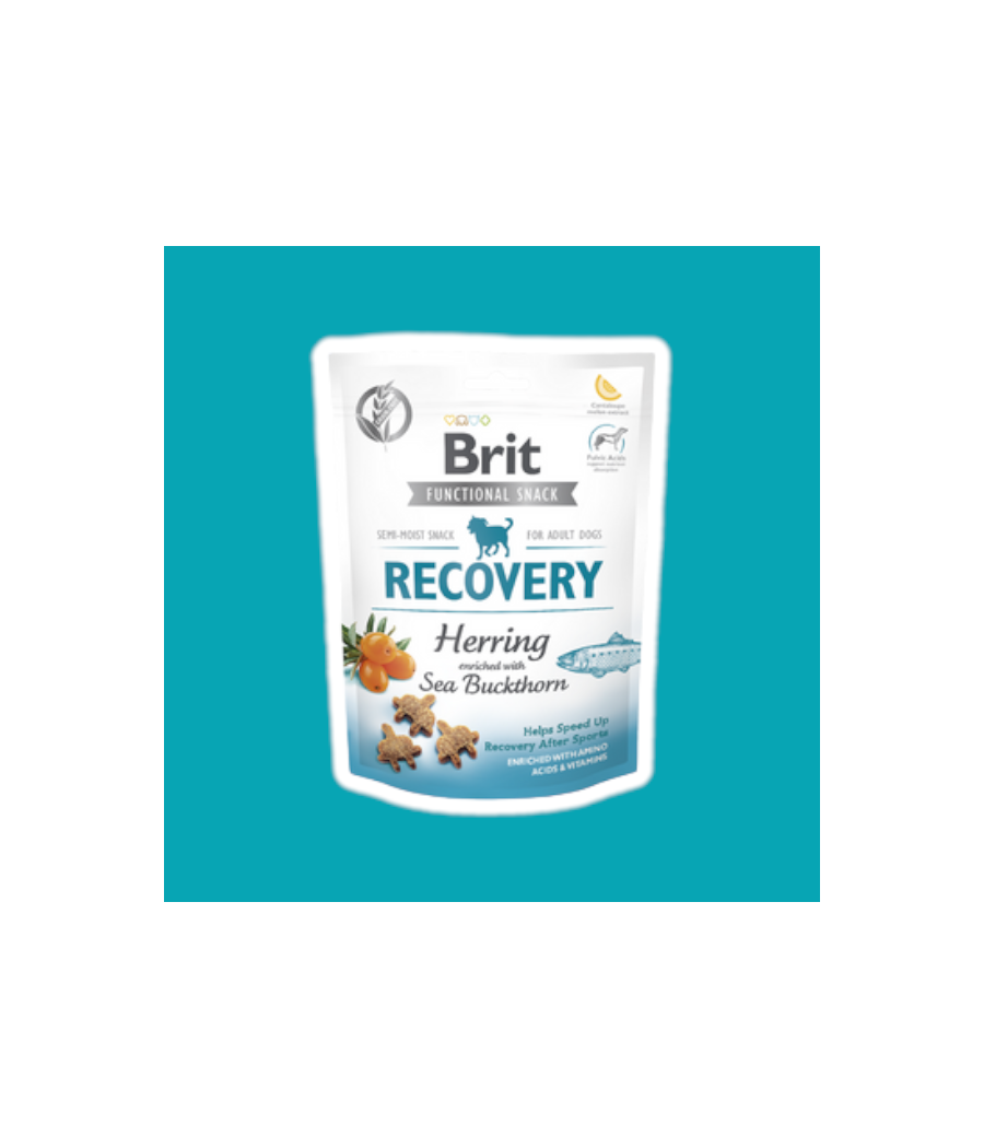 Brit recovery Hareng et Argousier - 150G