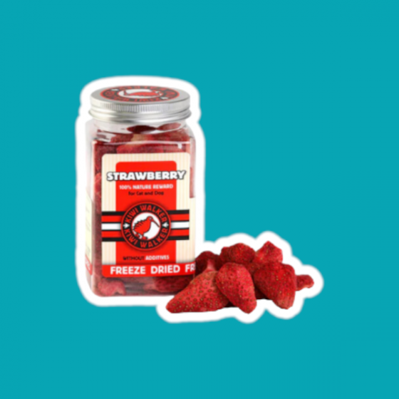 KiwiWalker - Fraises Lyophilisées 25G