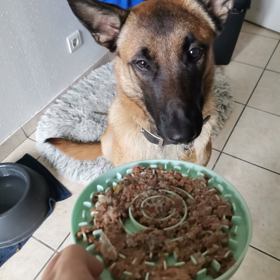 Tapis à lécher pour chiot - Trixie