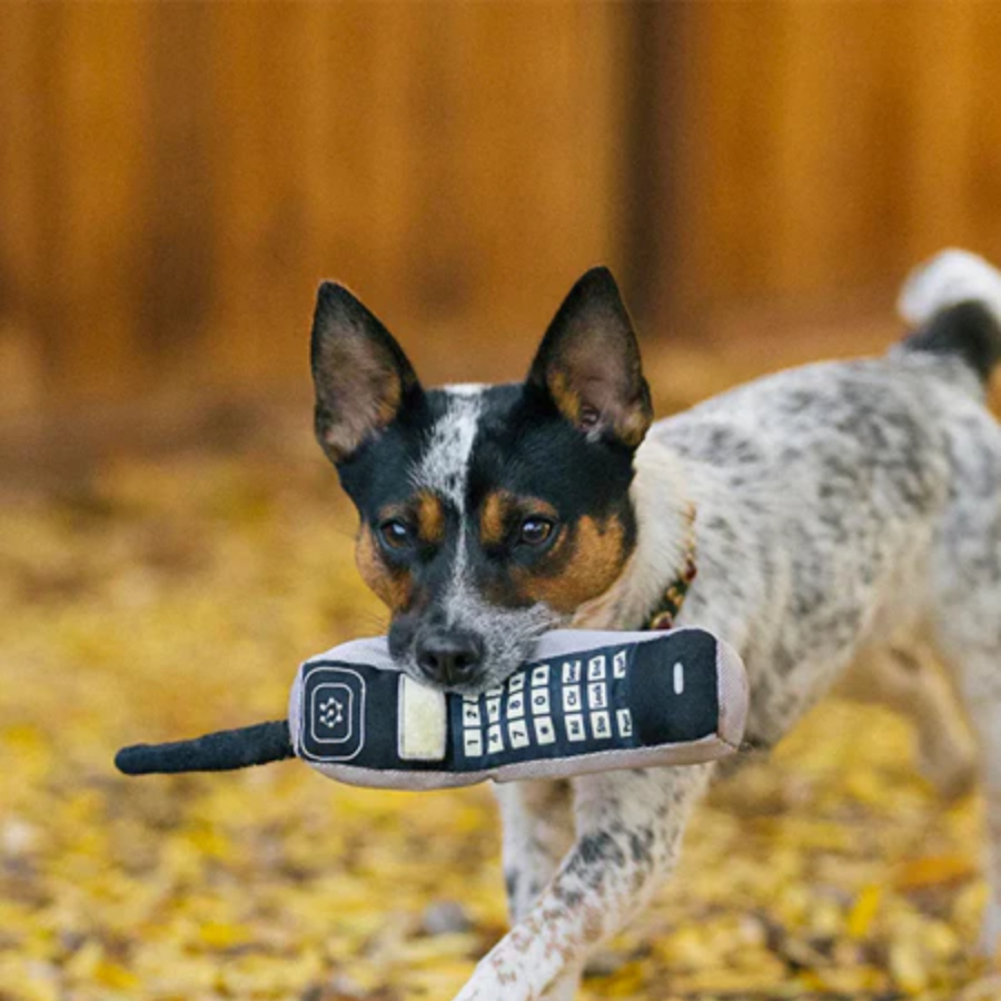 Yvonne le Téléphone