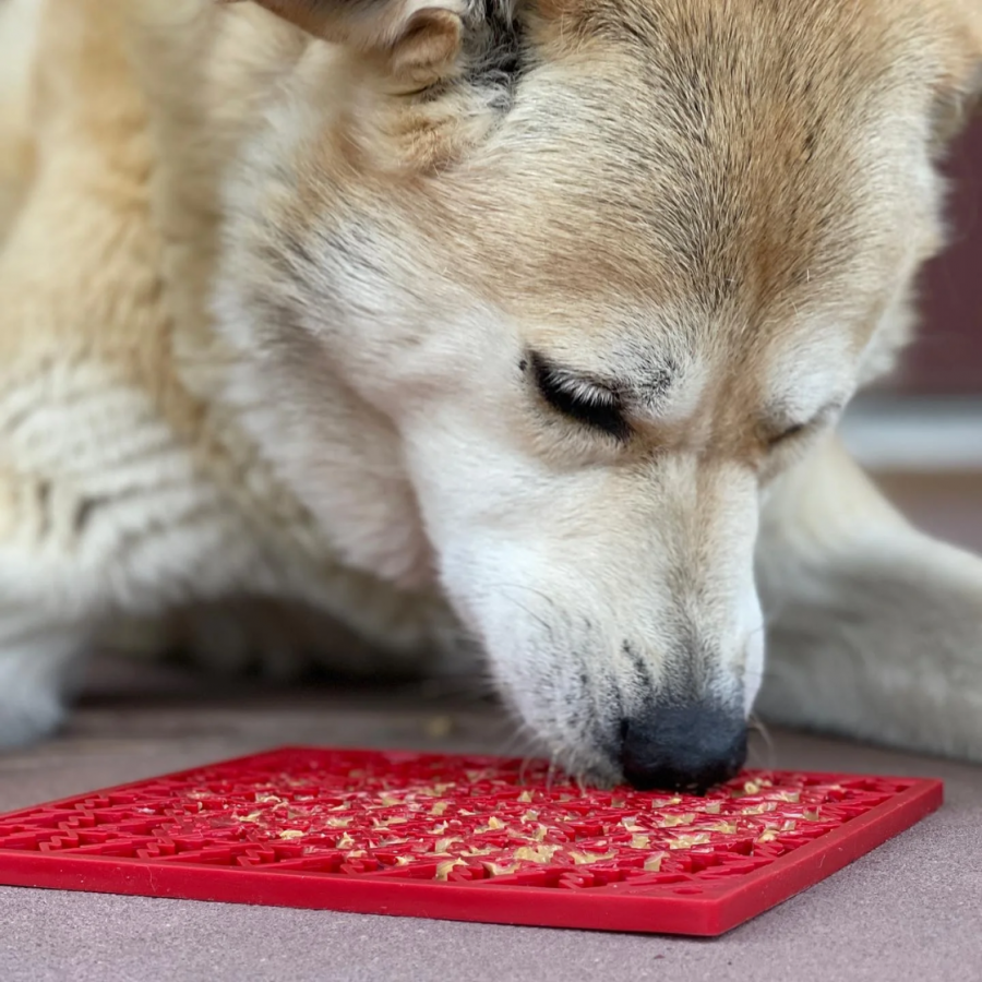 Tapis de léchage Christmas - Sodapup