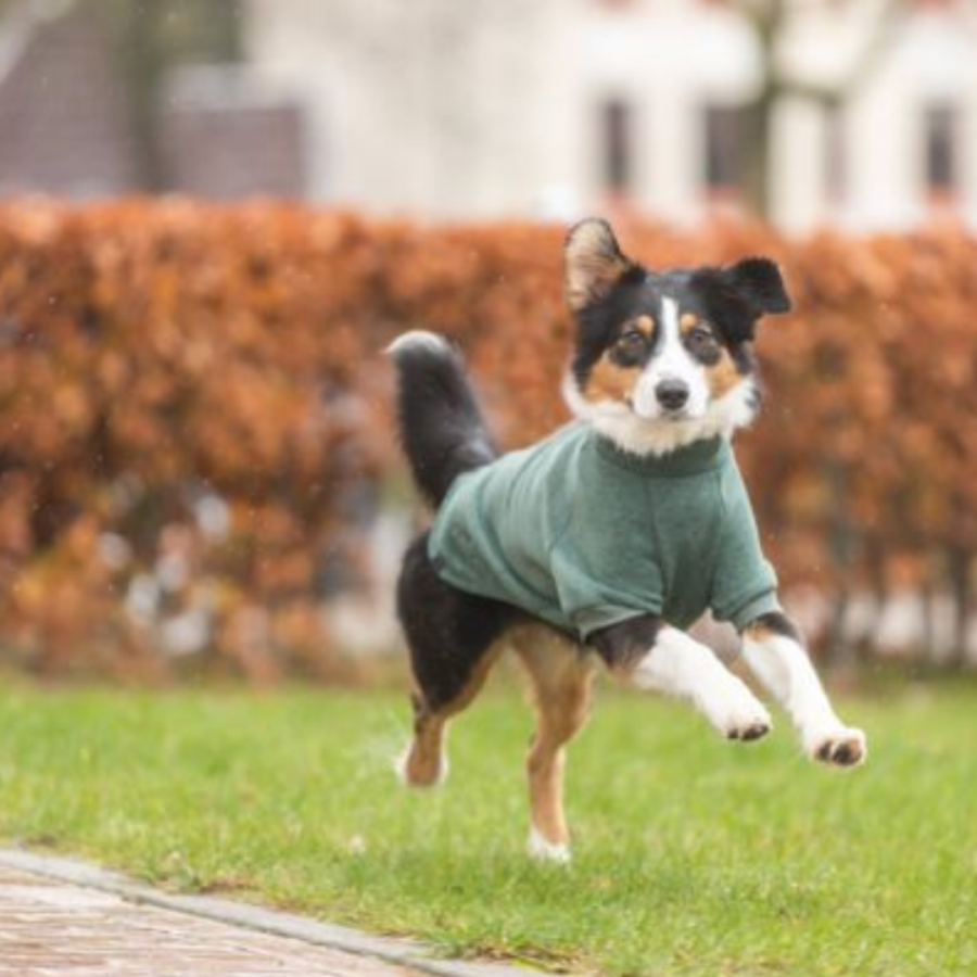 Sweat Meuda Vert d'eau