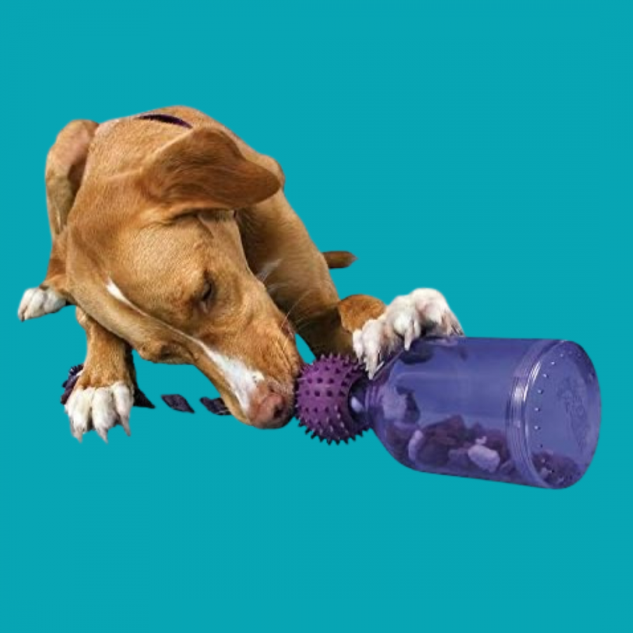 PetSafe Tug a Jug - Distributeur