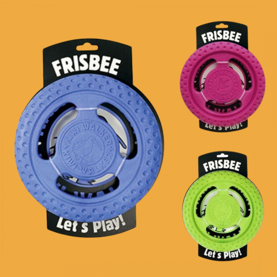 Mini Frisbee Lets Play KiwiWalker