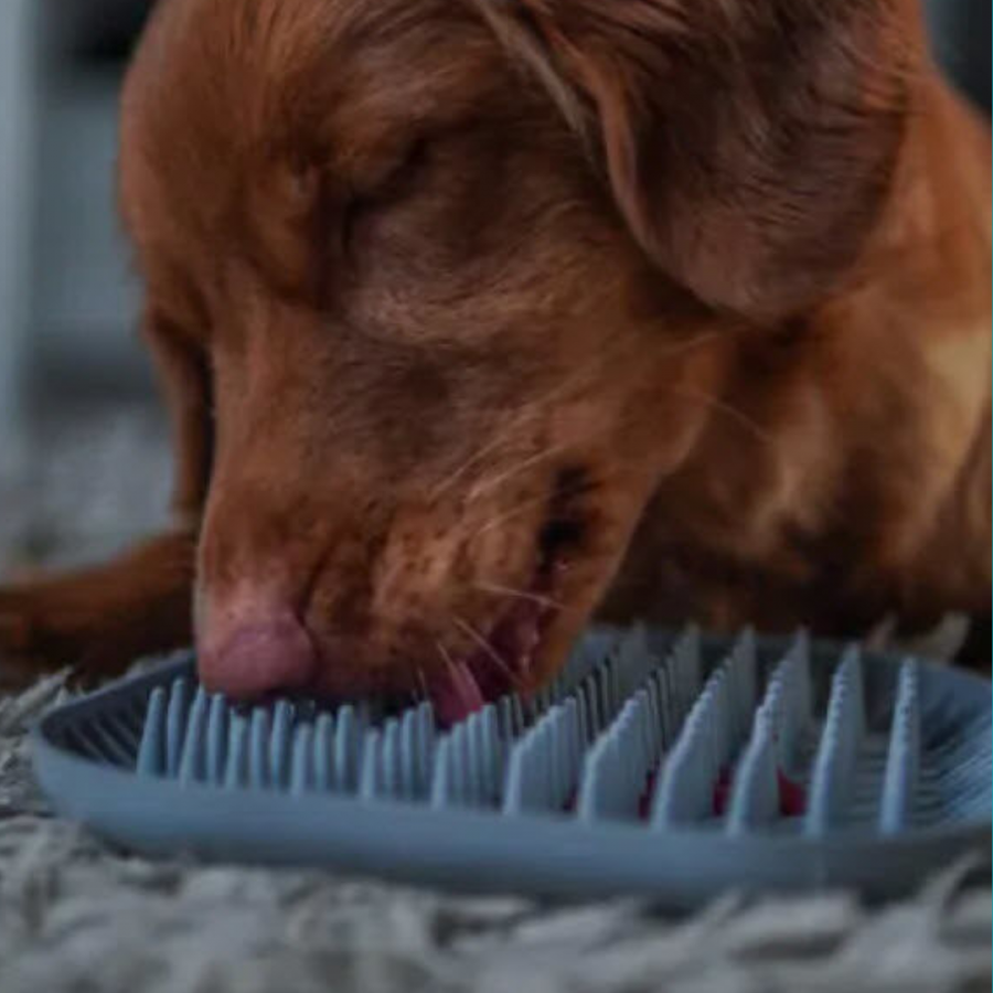 Tapis de léchage Spiky -  19CM