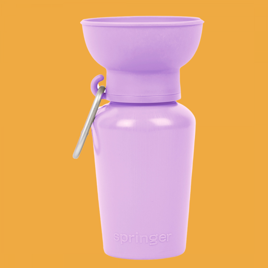 Springer Flip - Violet 590ML