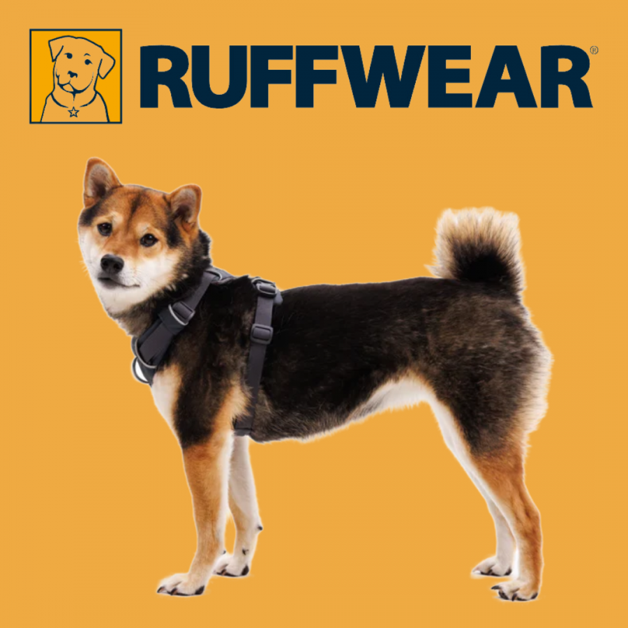 Harnais Anti traction Ruffwear-  Basalt Grey