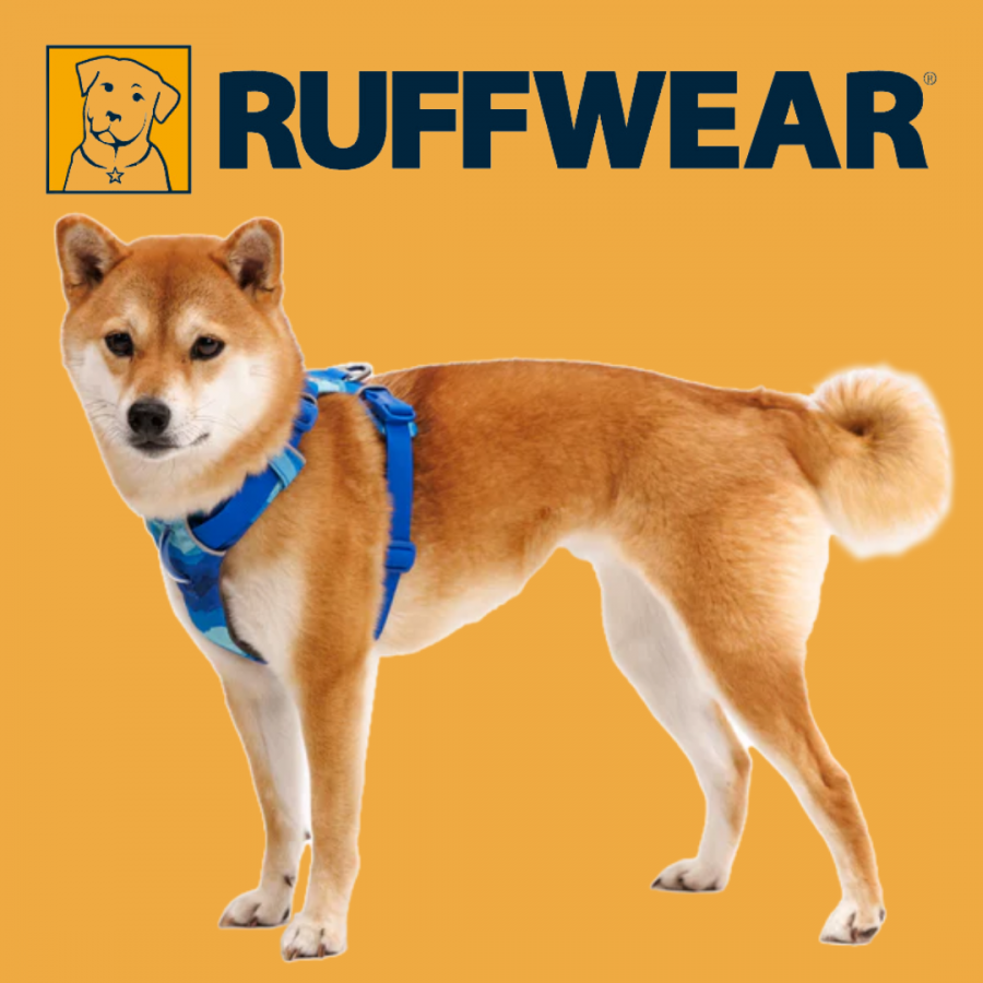 Harnais Anti traction Ruffwear-  Coastal Mountains