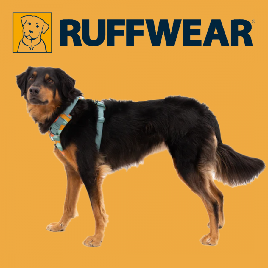 Harnais Anti traction Ruffwear- River Rock