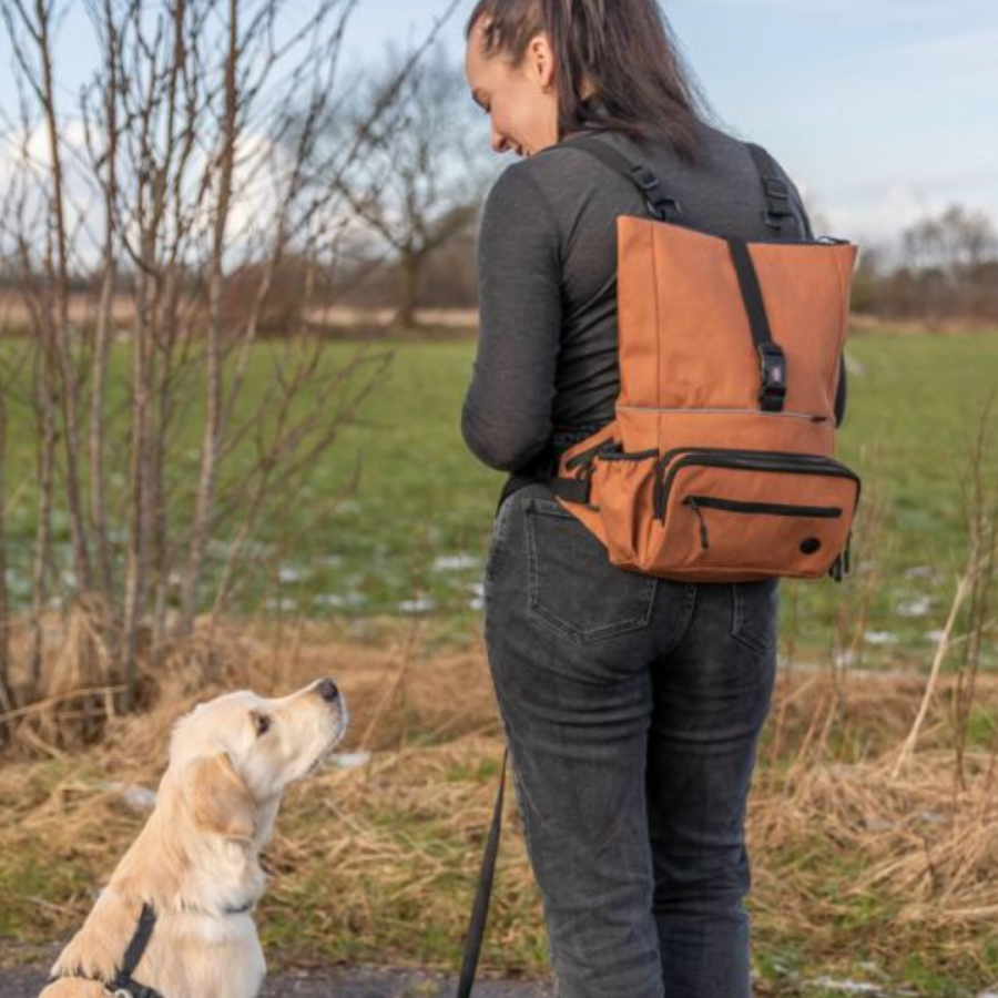 Sac à dos / Sacoche de balade