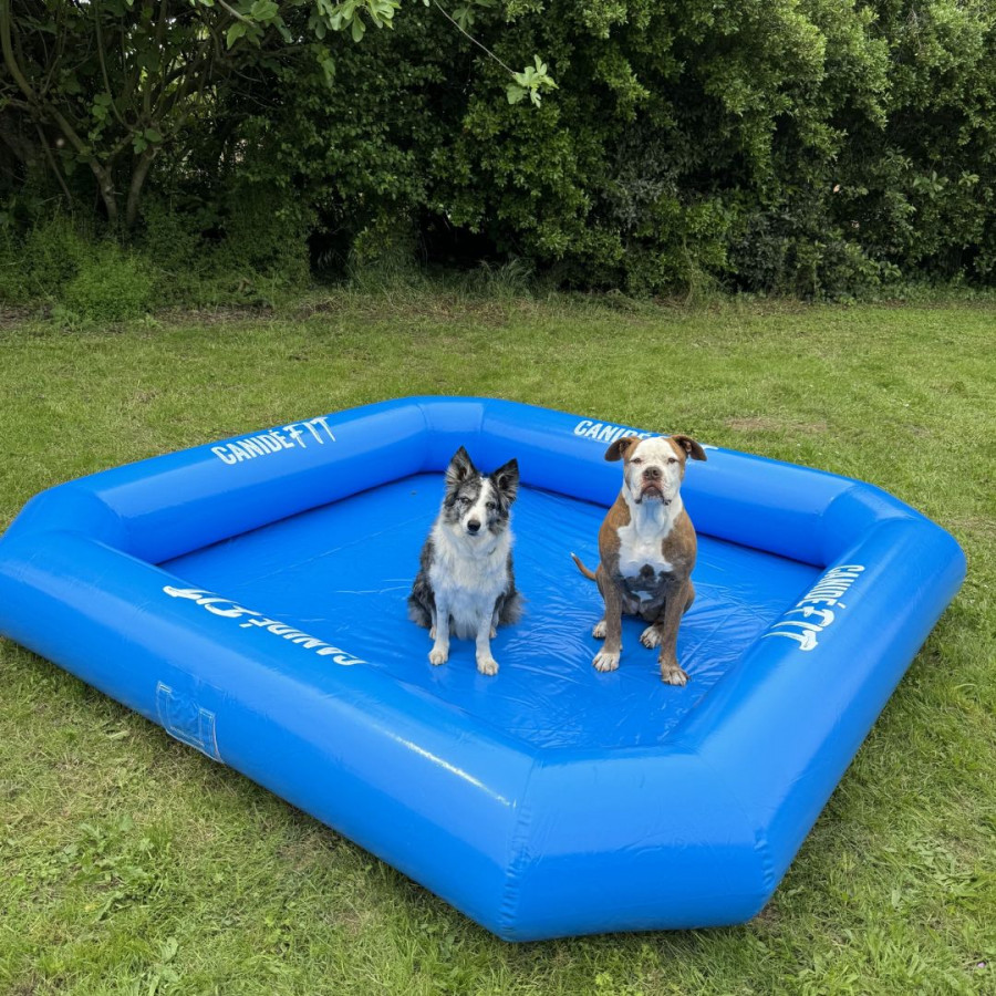 Piscine gonflable très Haut de gamme Canidelite