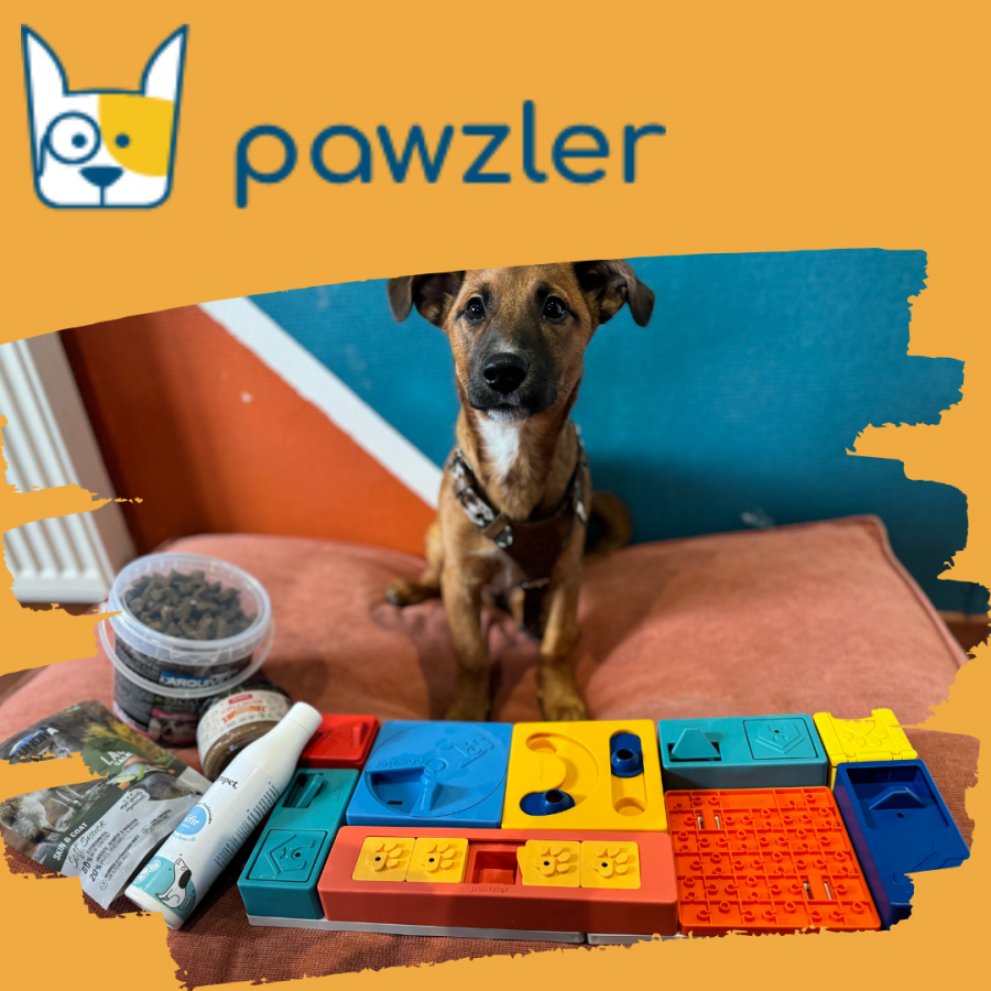 Pawzler Genius Box - Le Bundle des génies