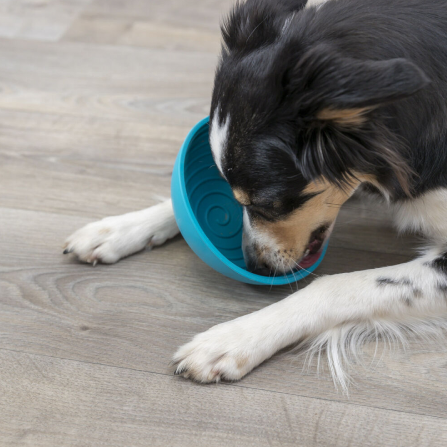 Lick and Snack wobbler bowl