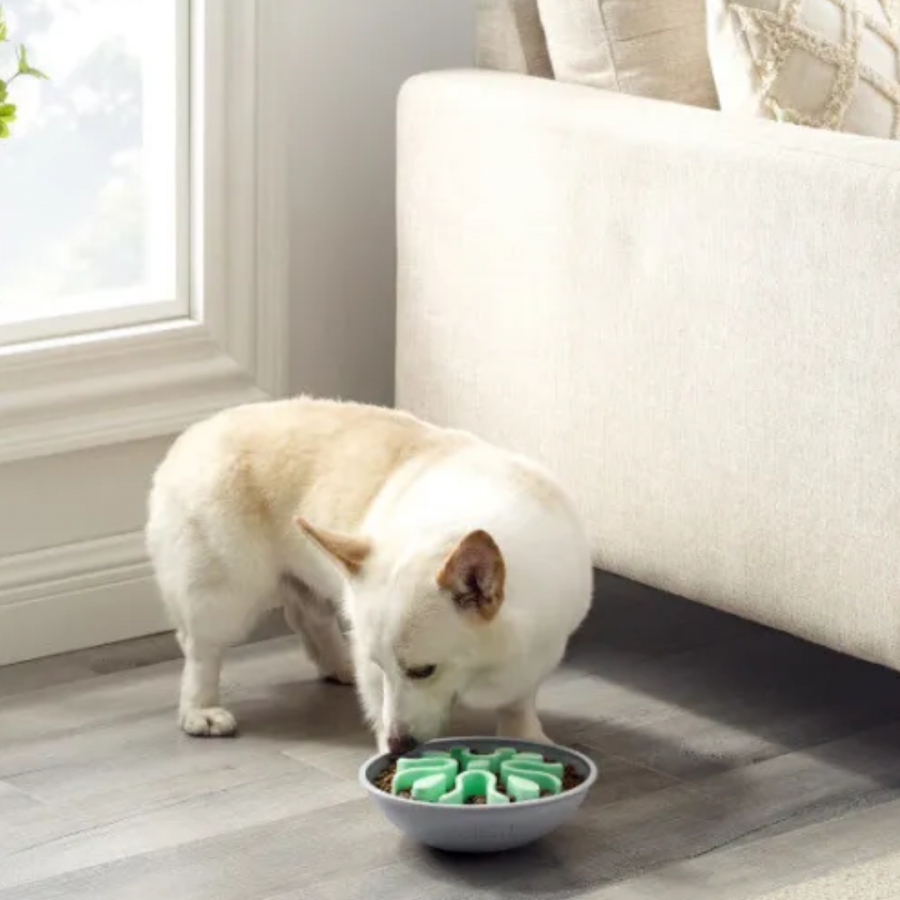 Fun Feeder - Wobble Bowl