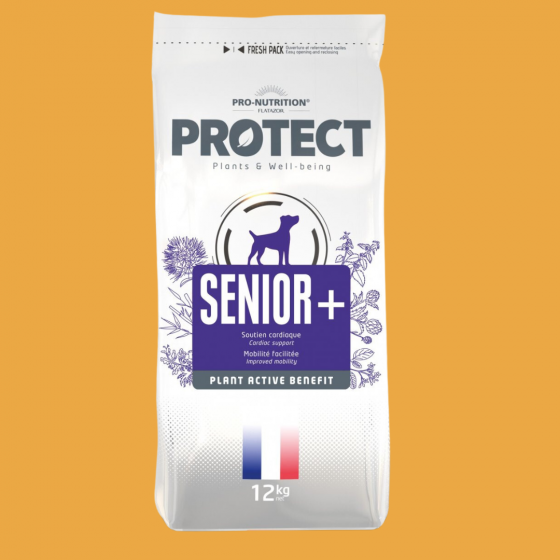 Pro-Nutrition Protect Senior + chien