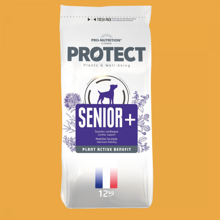 Pro-Nutrition Protect Senior + chien