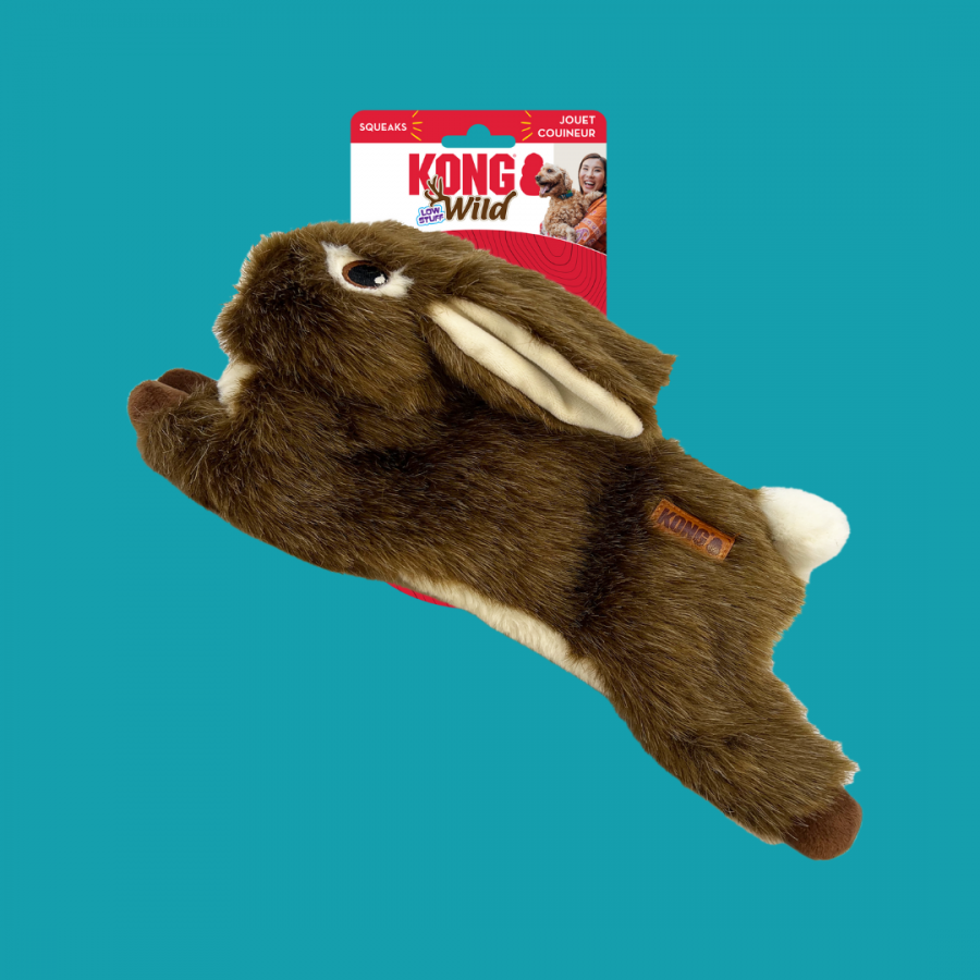 Albin le lapin - Kong