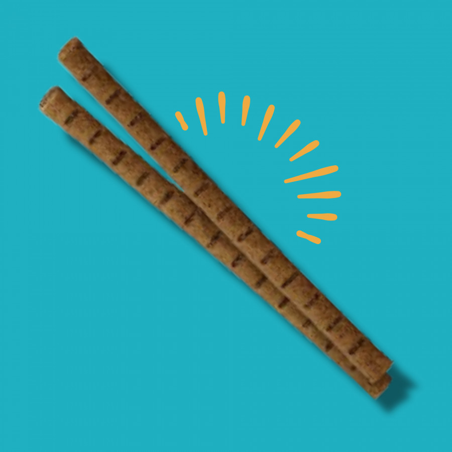 Stick aux insectes Stick aux insectes