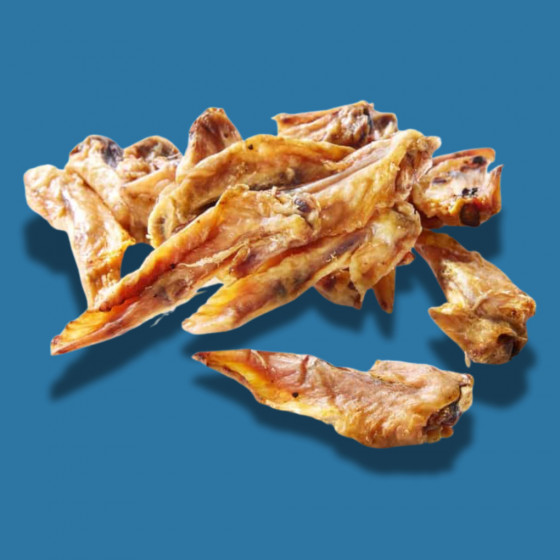 Ailes de poulet déshydratées chien – Friandise naturelle