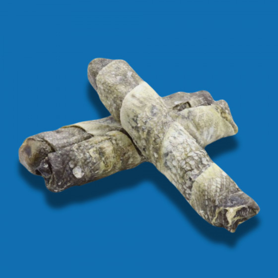 Briquette de Saumon 20 cm – Friandise Chien Naturelle
