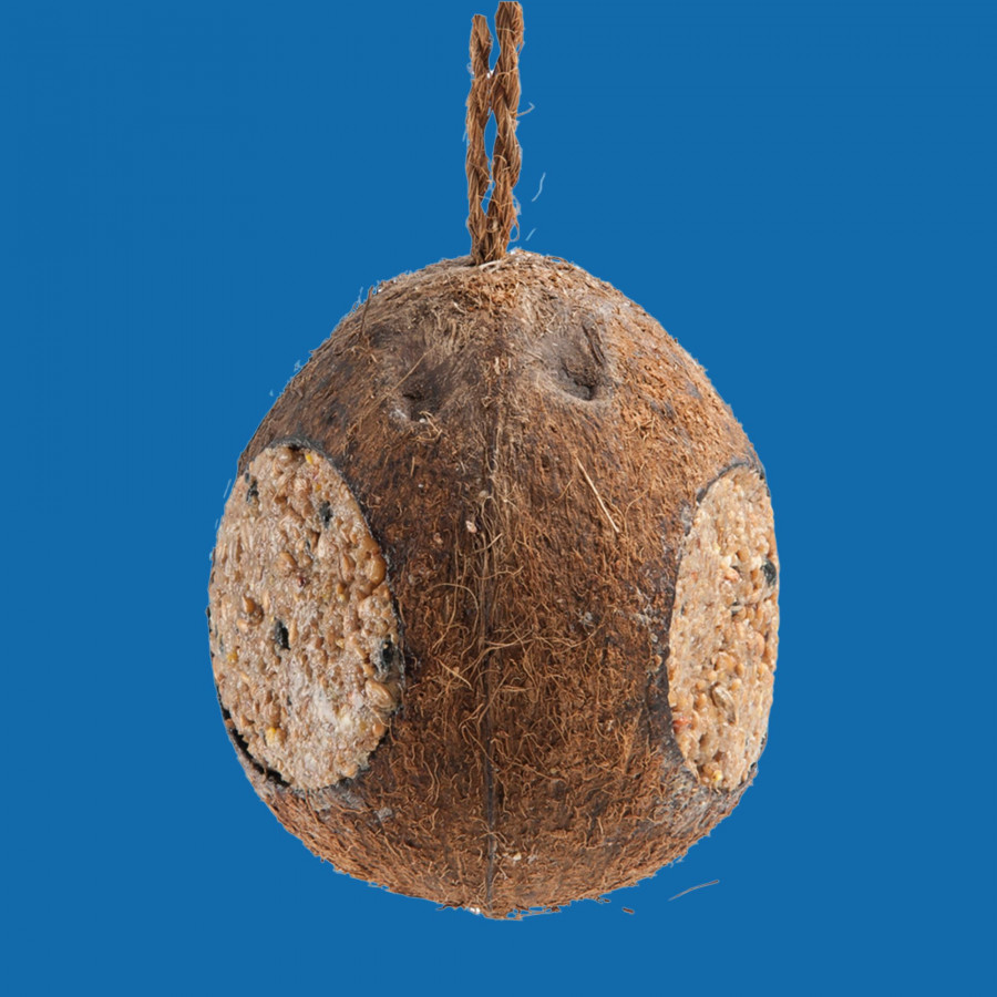 Noix de coco 350G