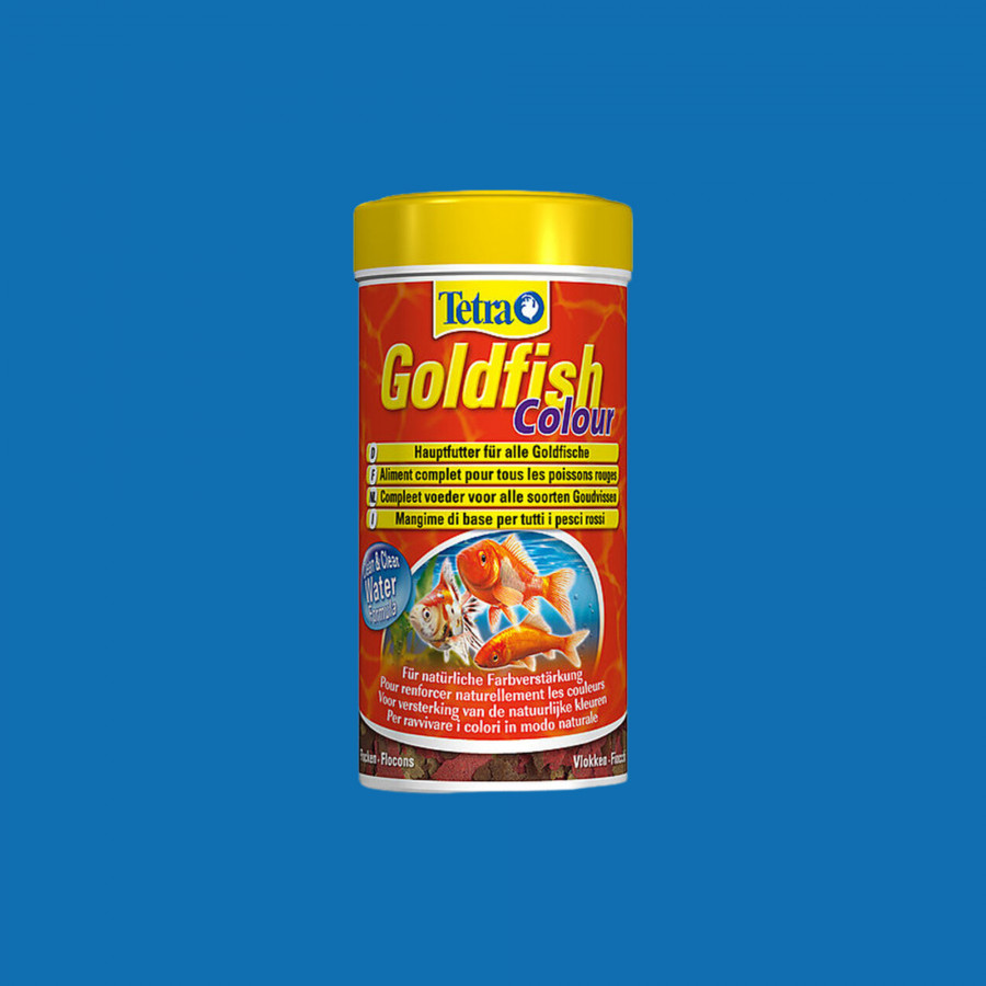 Tetra Goldfish Colour