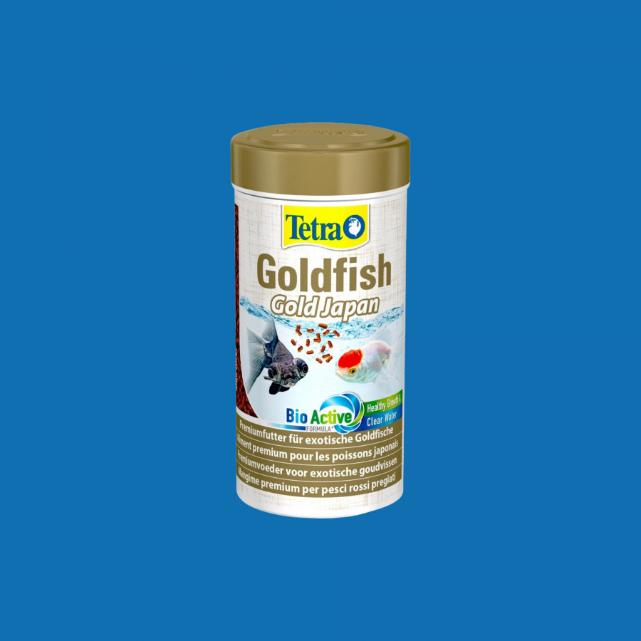 Tetra Goldfish Gold Japan