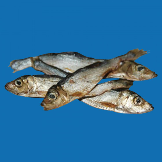 Sprat séché