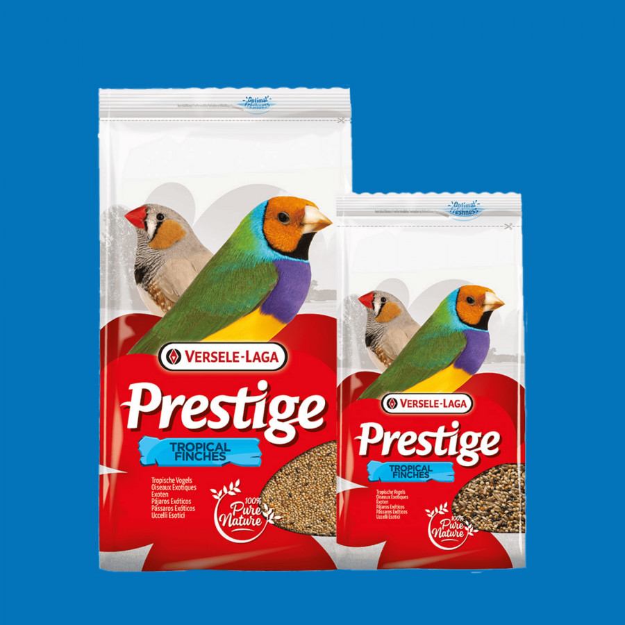 Graines oiseaux exotiques – Prestige Tropical Finches Graines oiseaux exotiques – Prestige Tropical Finches