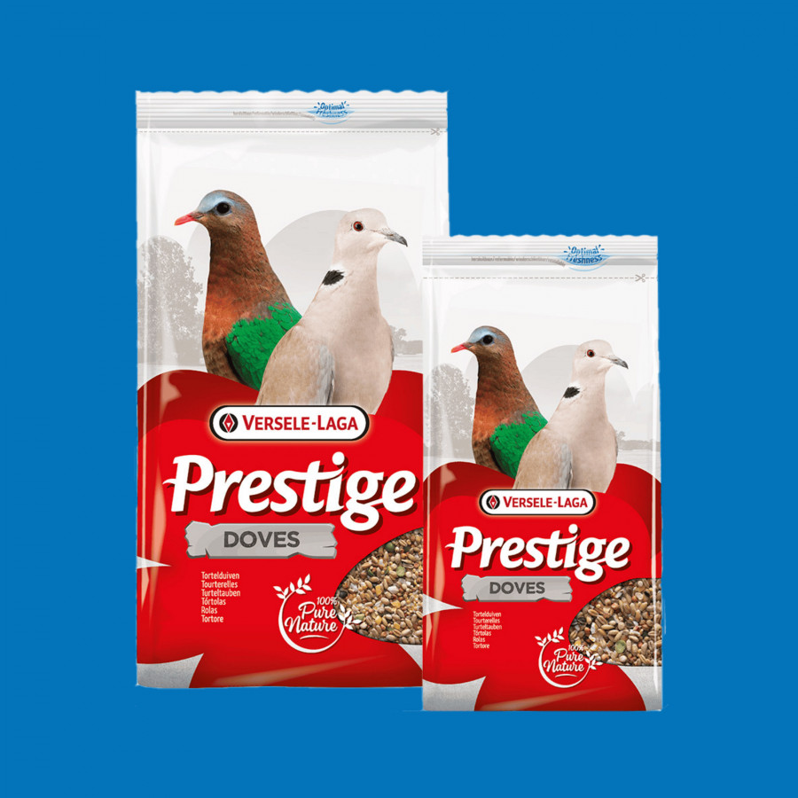 Mélange graines pigeons & tourterelles – Prestige 4 kg Mélange graines pigeons & tourterelles – Prestige 4 kg