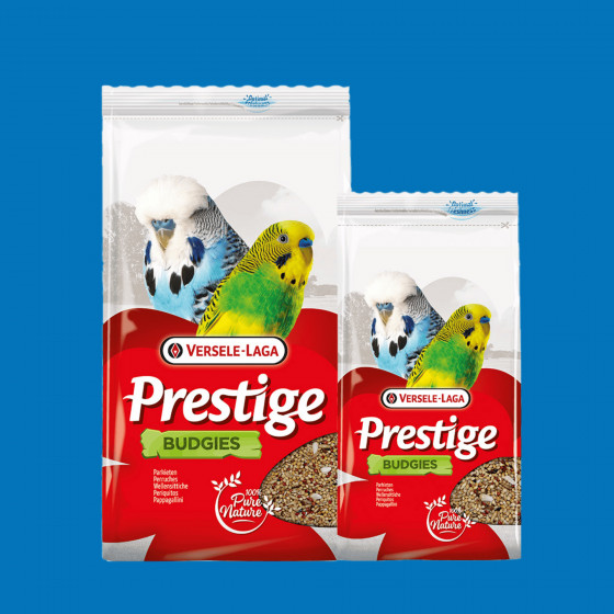 Mélange graines perruches multicolore – qualité premium