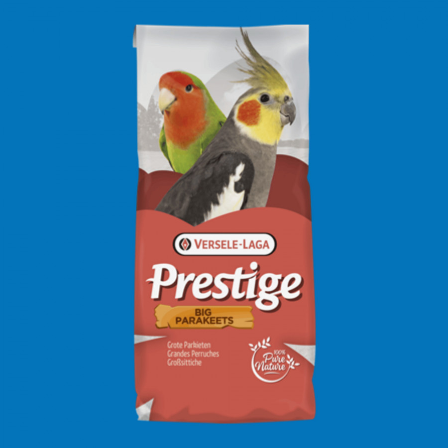 Mélange graines grandes perruches – qualité premium Mélange graines grandes perruches – qualité premium